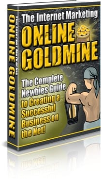 The Internet Marketing Online Goldmine PLR Ebook