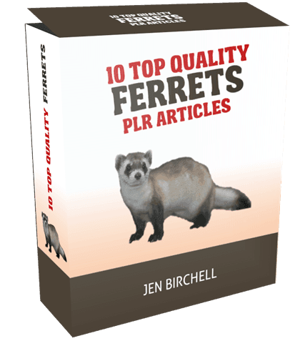 10 Top Quality Ferrets PLR Articles