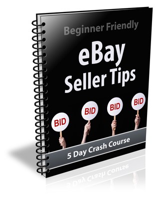 Top Quality eBay Selling PLR Newsletter eCourse