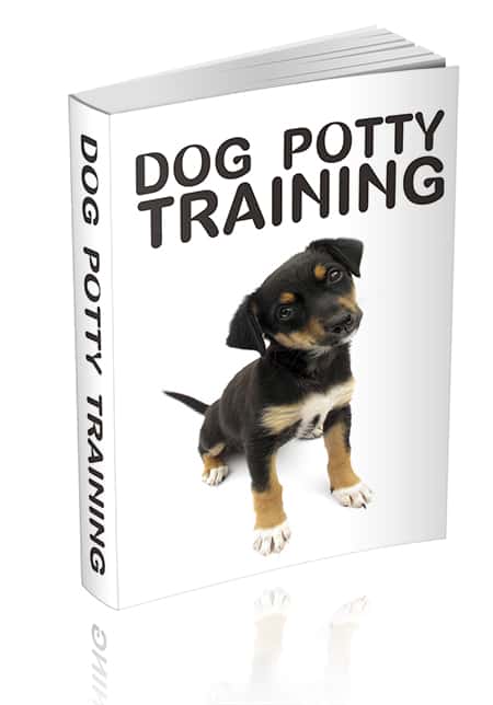 Dog Potty Training Unrestricted PLR eBook