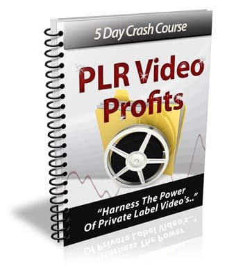 PLR Video Profits PLR Newsletter eCourse