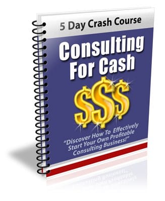 Consulting For Cash PLR Newsletter eCourse