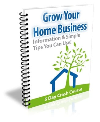 Grow Your Home Business PLR Newsletter eCourse