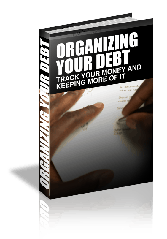 organizing-your-debt_3d