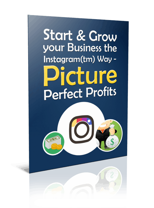 Grow Your Business the Instagram Way PLR Report Resell PLR