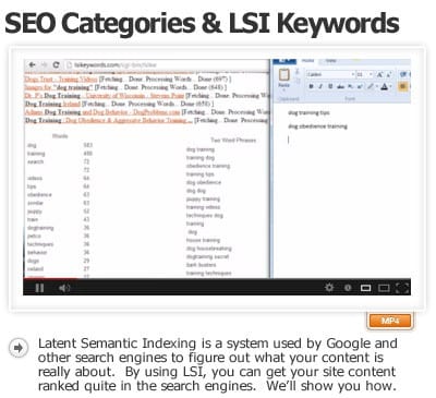 creating-lsi-friendly-categories