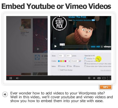 embed-youtube-or-vimeo-videos