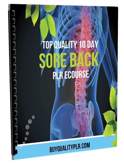 Top Quality 10 Day Sore Back PLR Ecourse