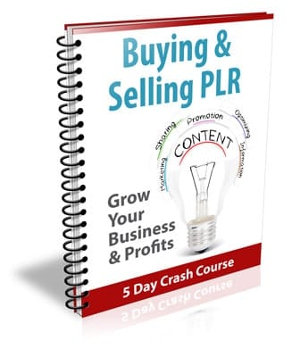 Buying and Selling PLR Newsletter eCourse Package