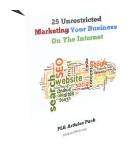 25 Unrestricted Marketing Your Business On The Internet PLR Articles Pack