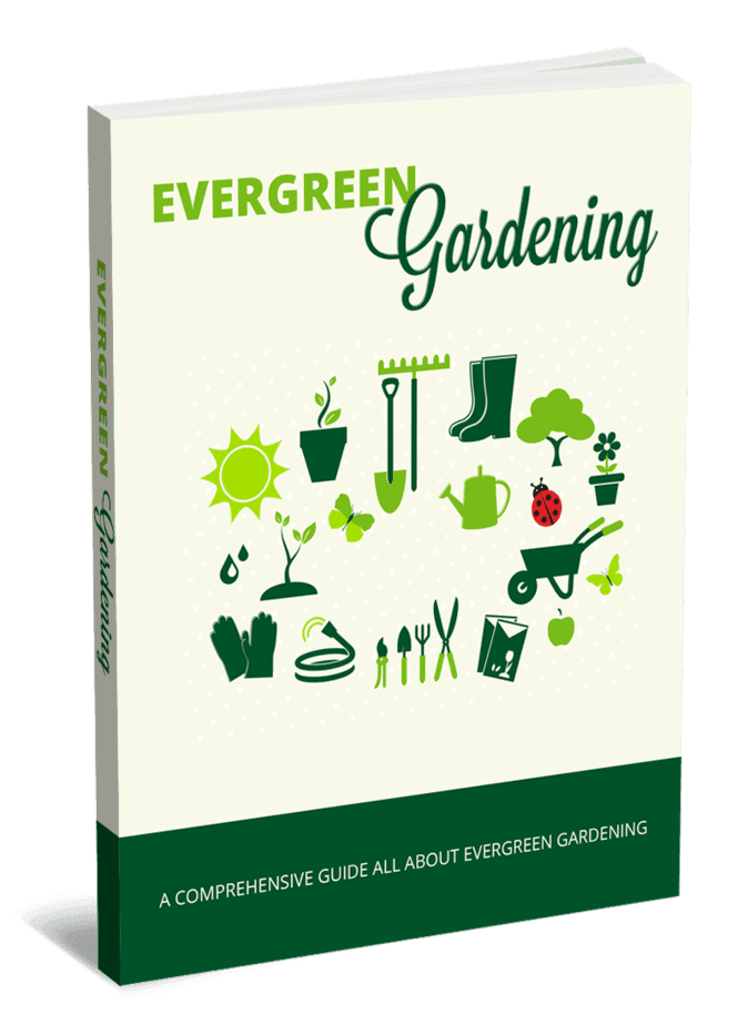 Evergreen Gardening PLR eBook and Squeeze Page