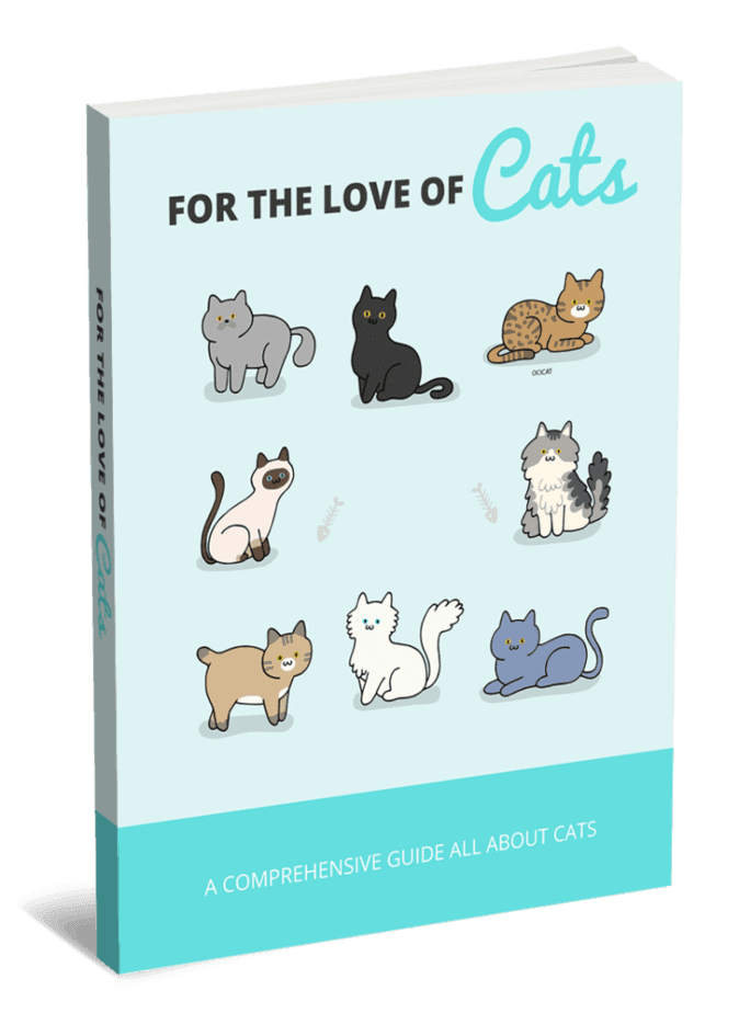 For The Love Of Cats PLR eBook and Squeeze Page