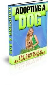 Adopting A Dog Unrestricted PLR eBook