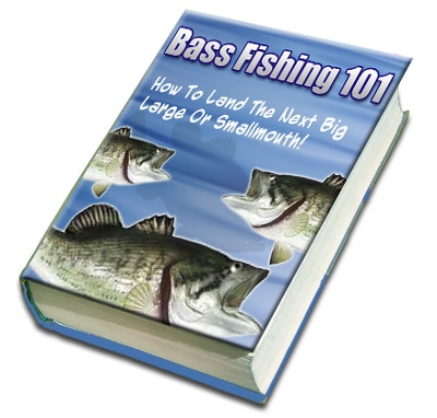 Bass Fishing Tips Bass Fishing With Jigs: How to Catch Bass on Jigs Year Round [Book]