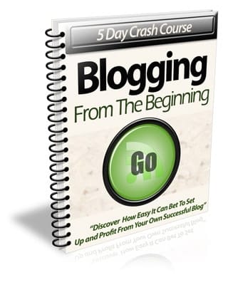 Blogging From The Beginning PLR Newsletter eCourse