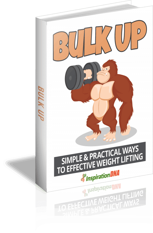 Bulk Up Ebook