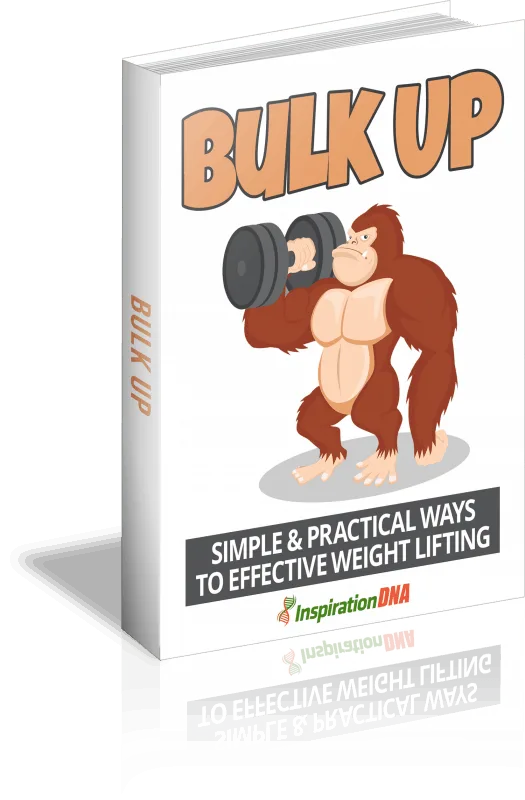 Bulk Up Ebook Bulk Up Ebook