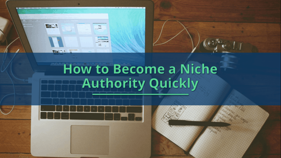 Niche Marketing Secrets Sales Funnel with Master Resell Rights