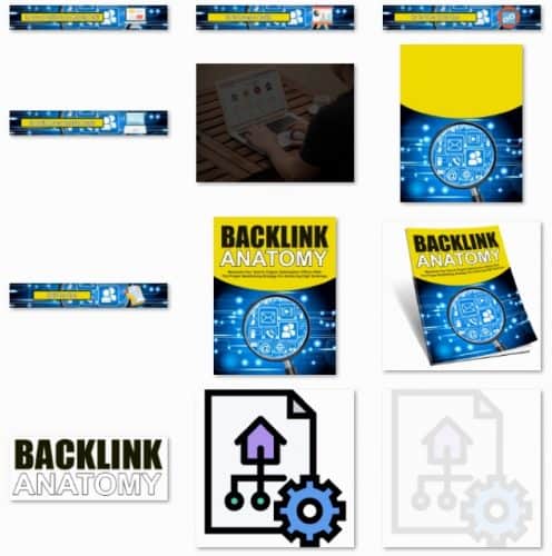 Backlink Anatomy PLR Lead Magnet In A Box | SEO Backlinks PLR Report
