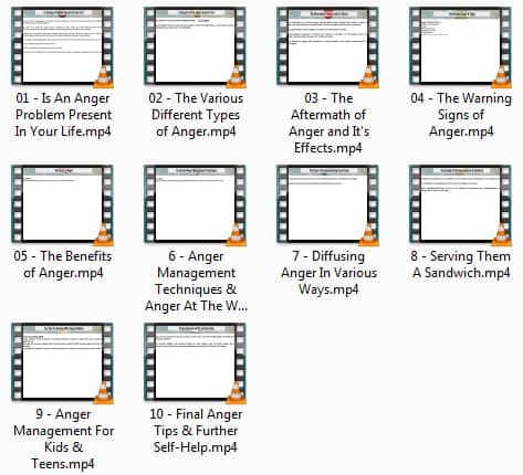 Anger Management Guide PLR MP4 Videos