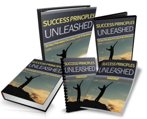 Success Principles Unleashed PLR Ebook Resell PLR