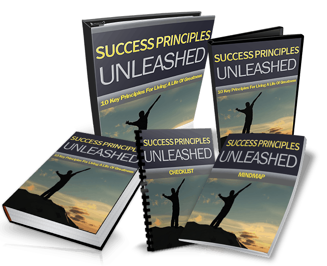 Success Principles Unleashed PLR Ebook Resell PLR