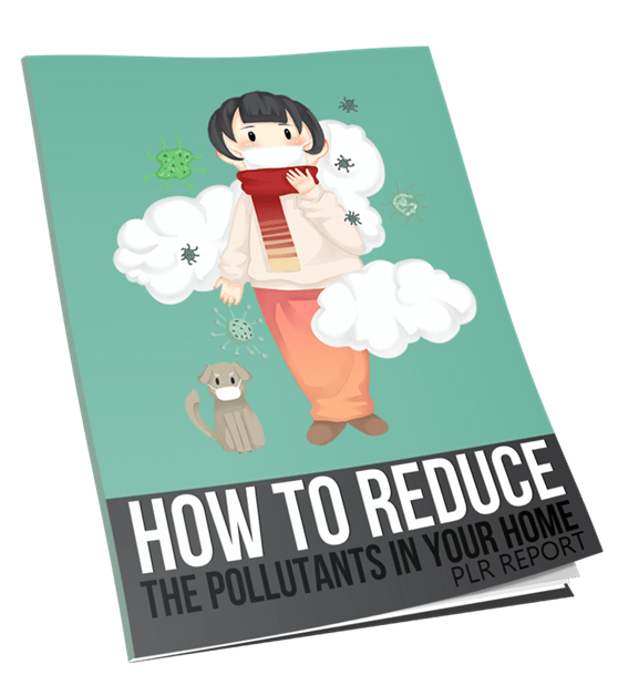 How to Reduce the Pollutants in Your Home Report