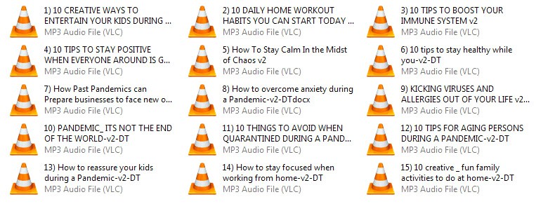 Pandemic Survival Solutions MP3 Audio Files