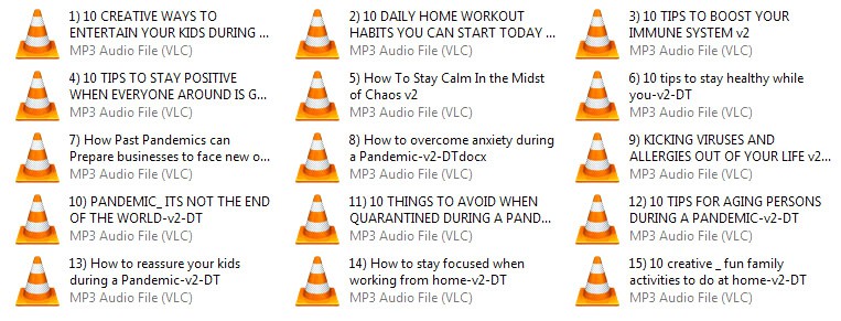 Pandemic Survival Solutions MP3 Audio Files
