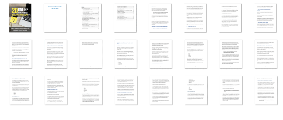 Online Home Businesses PLR ebook