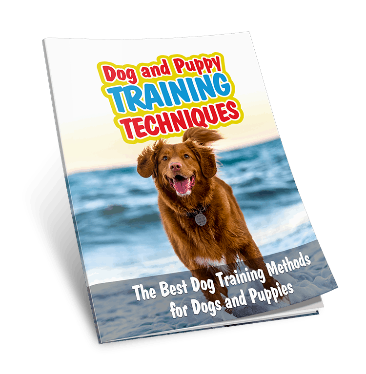 Dog and Puppy Training Techniques Cover
