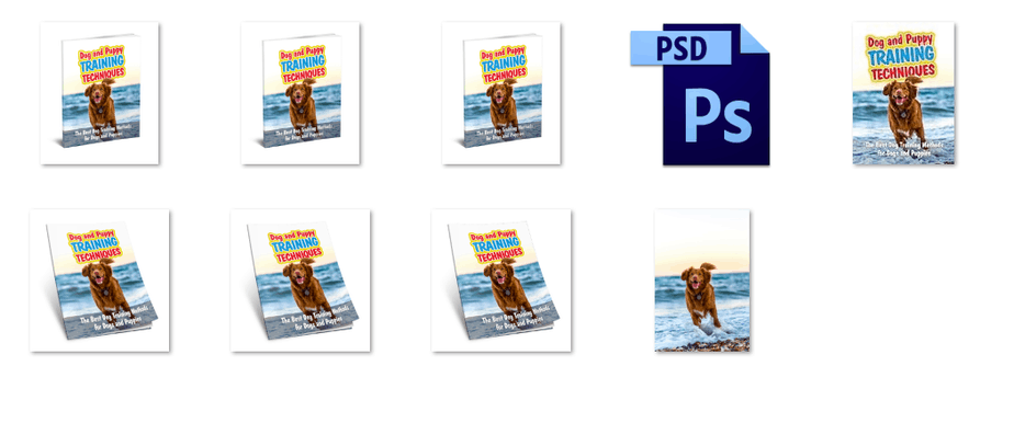 Dog Training PLR Ebook Dog Training PLR Ebook