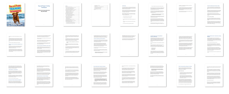 Dog and Puppy Training Techniques Screenshot Dog and Puppy Training Techniques Screenshot