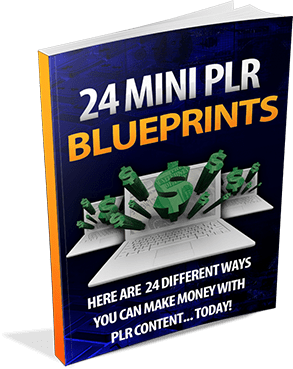 24 Mini PLR Profit Blueprints