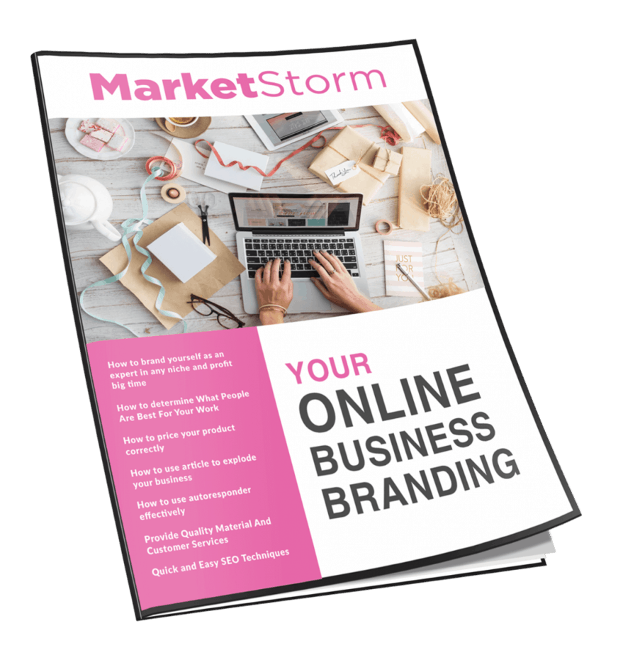 Marketstorm Your Online Business Branding MRR Newsletter Magazine