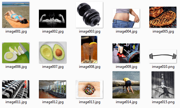 Muscle Building for Everyone Premium Royalty Free Images Muscle Building for Everyone Premium Royalty Free Images