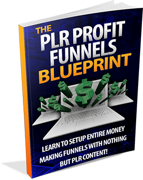 PLR Profit Funnel Blueprint