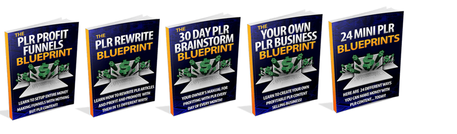 PLR Profits Bundle