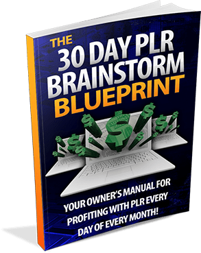 The 30 Day PLR Brainstorm