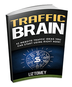 Traffic Brain ebook