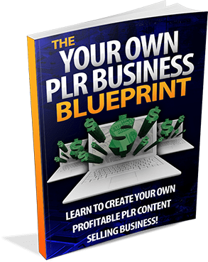 Your Own PLR Business Blueprint