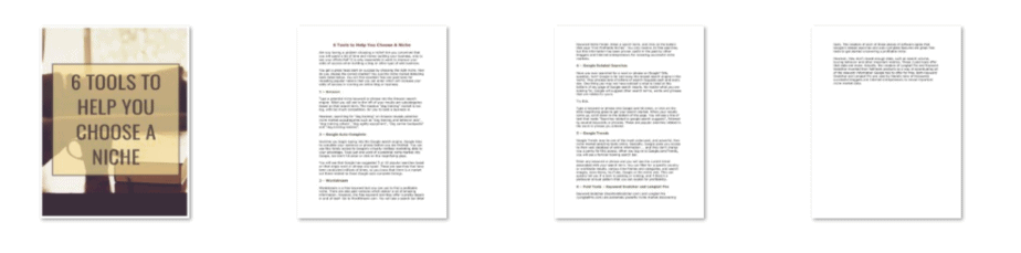 6 Tools to Help You Choose A Niche Resource Guide Choose A Niche PLR Resource Guide