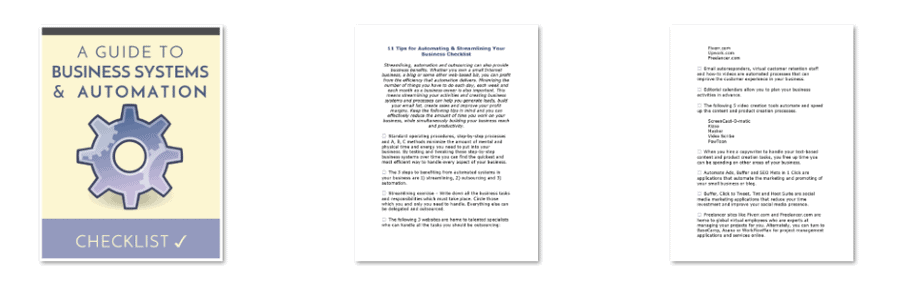 Biz Systems PLR Checklist Inside Look