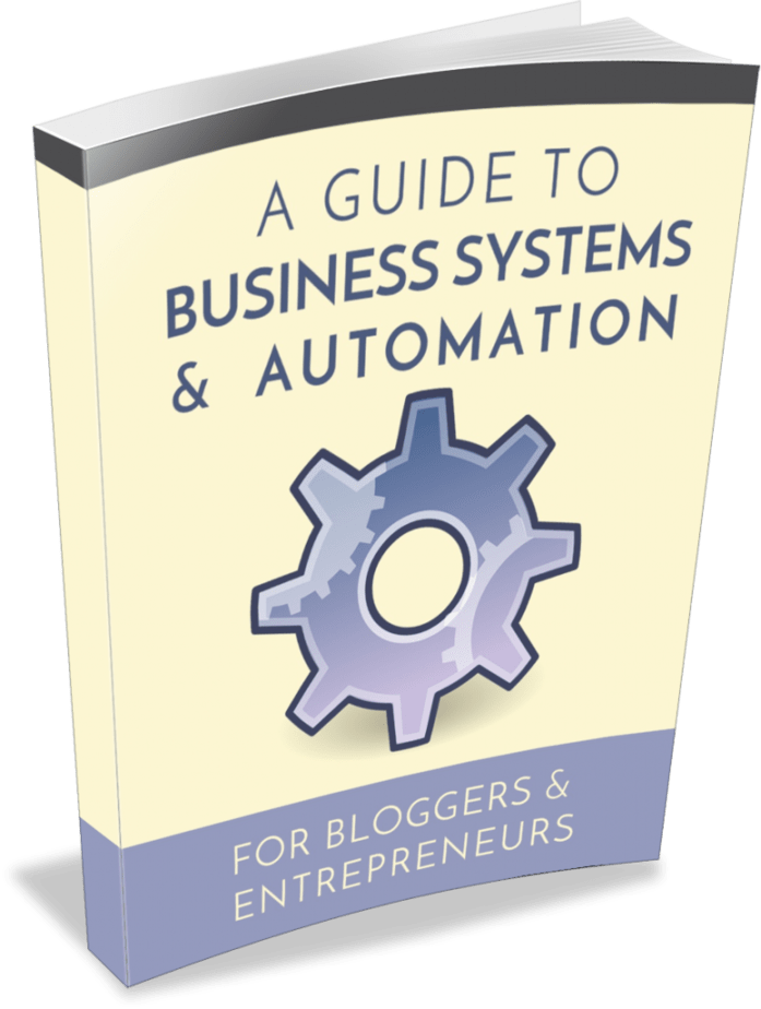Biz Systems PLR eBook