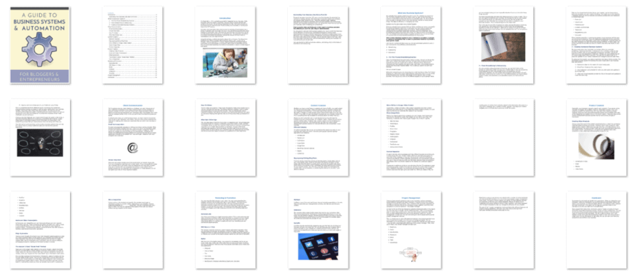 Home Business PLR eBook Inside Look