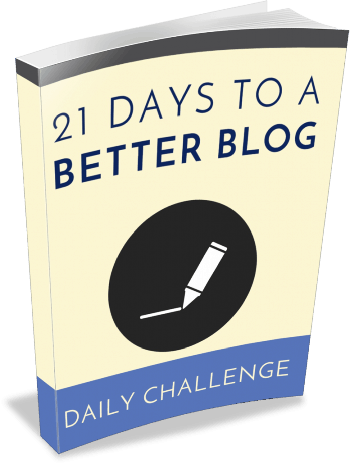 Boost Blog Challenge PLR eBook