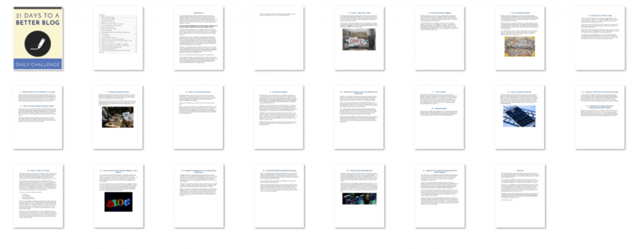21 Day to a Better Blog PLR eBook Inside Look