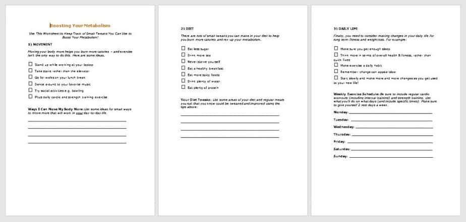 Boost Your Metabolism Bonus PLR Worksheets Boost Your Metabolism Bonus PLR Worksheets