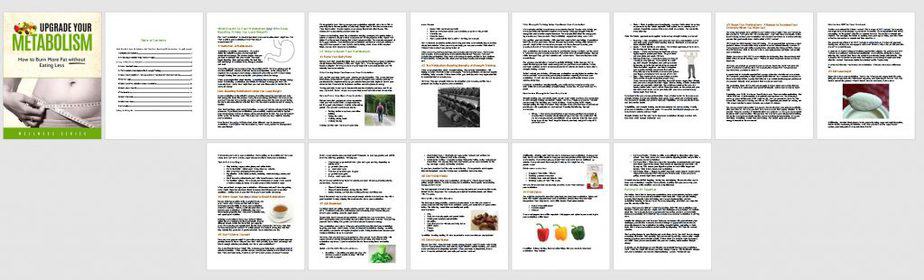 Boost Your Metabolism PLR Ebook Sneak Preview
