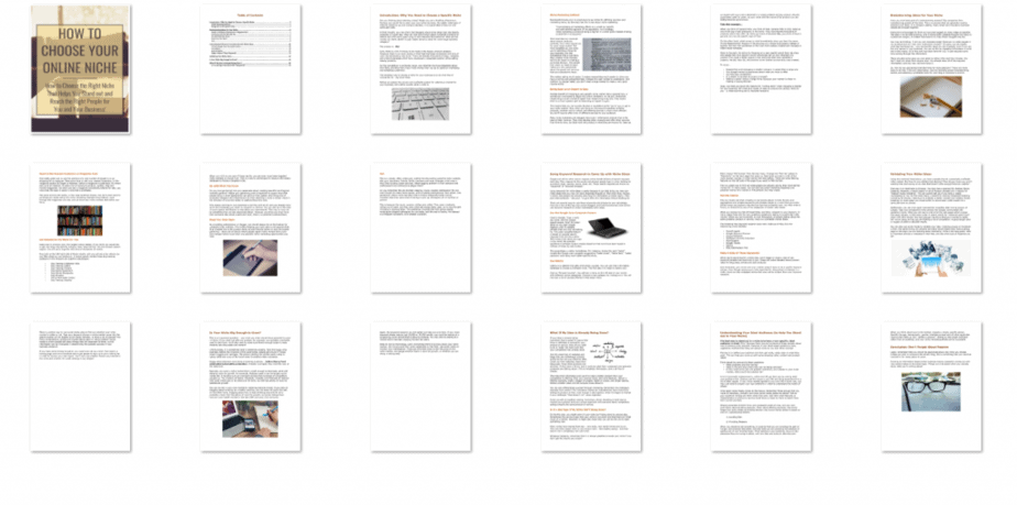 Choose Your Niche PLR eBook Choose an Online Niche Inside Look